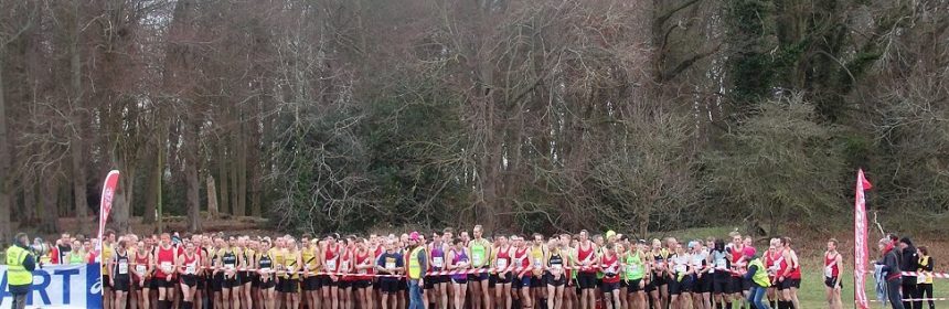stopsleystriders_xc_challenge