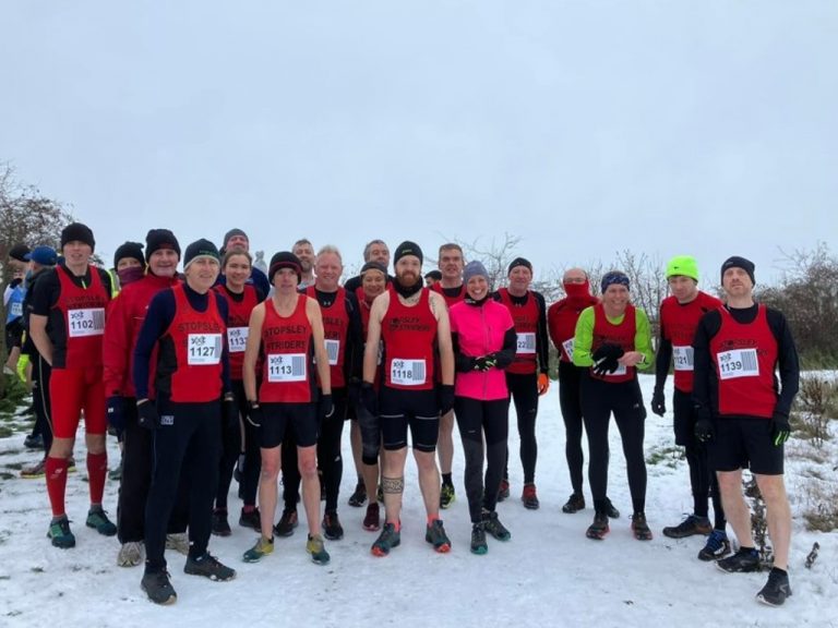 Striders In The Snow